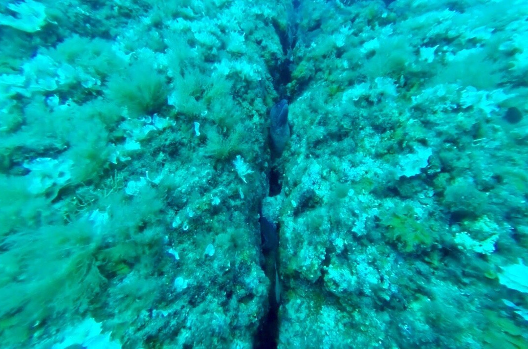 Nautilus Technical Diving Center-Santo Stefano al Mare必去景点