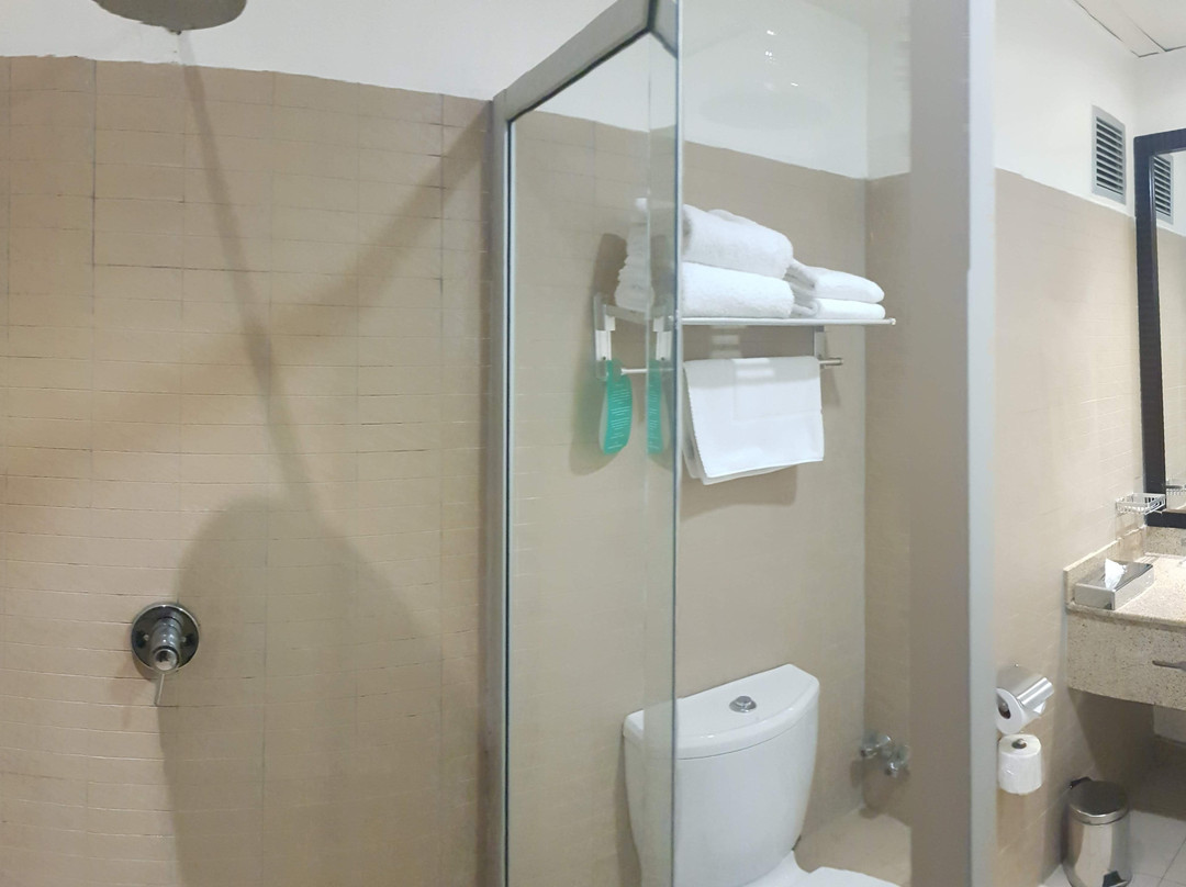 卢萨卡省Protea酒店主图