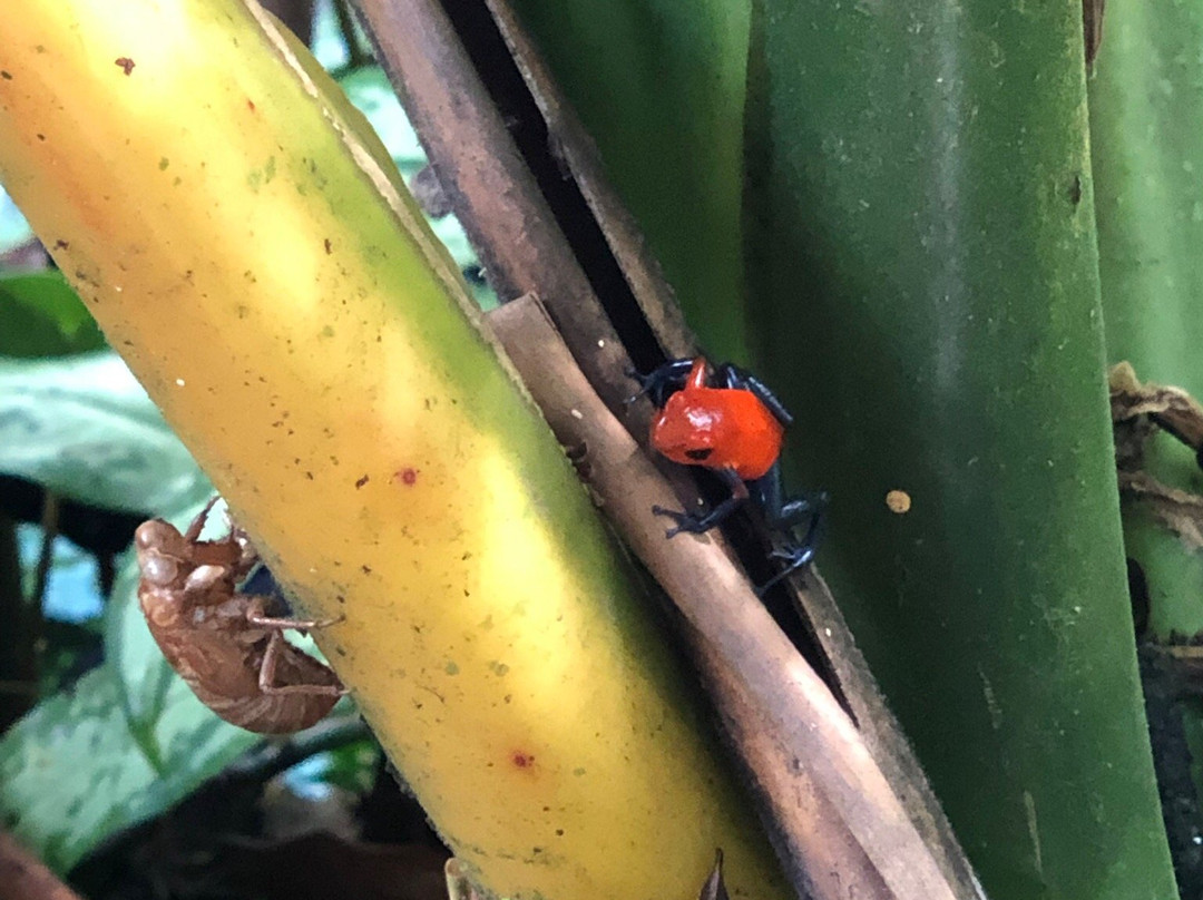 Casa Rio Blanco Eco Friendly B&B主图