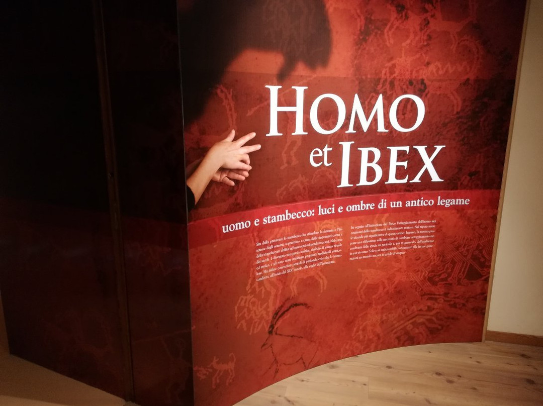 Homo et Ibex景点图片