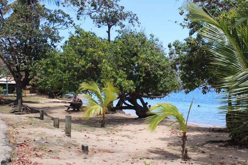 Plage de Cosmy-La Trinite必去景点