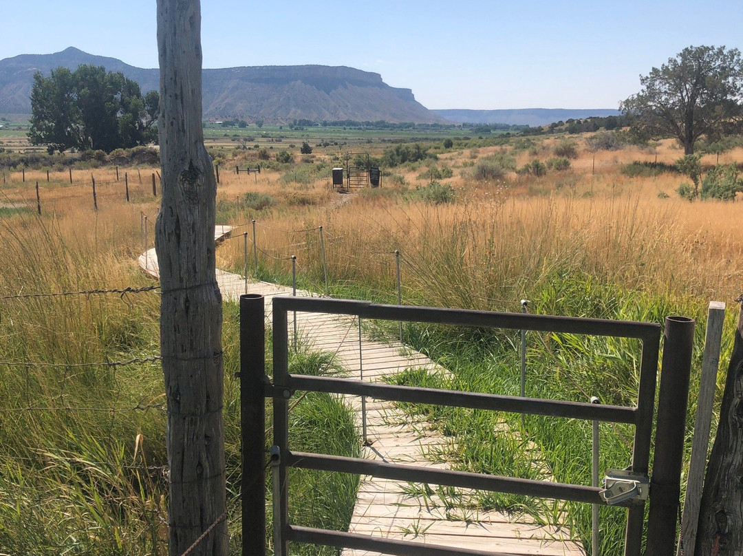 Yucca House National Monument-Towaoc必去景点