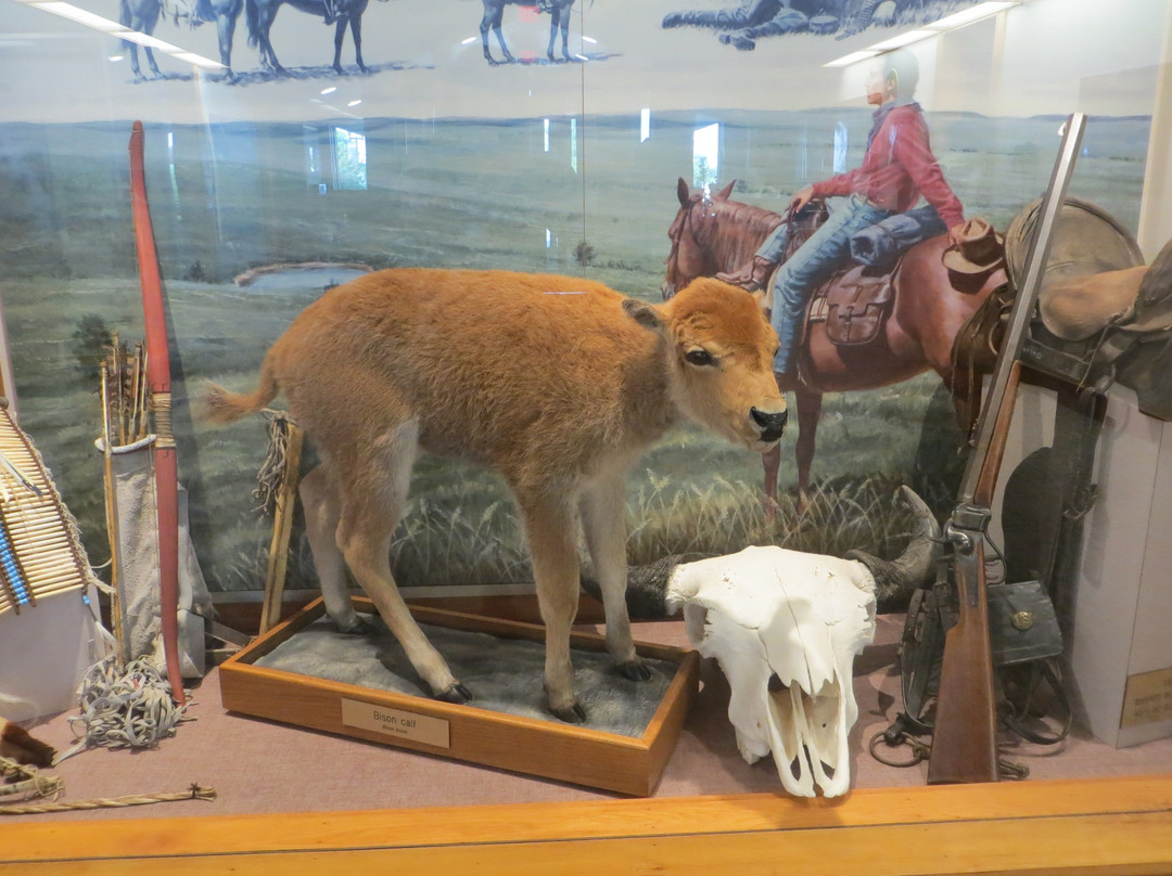 National Grasslands Visitor Center景点图片