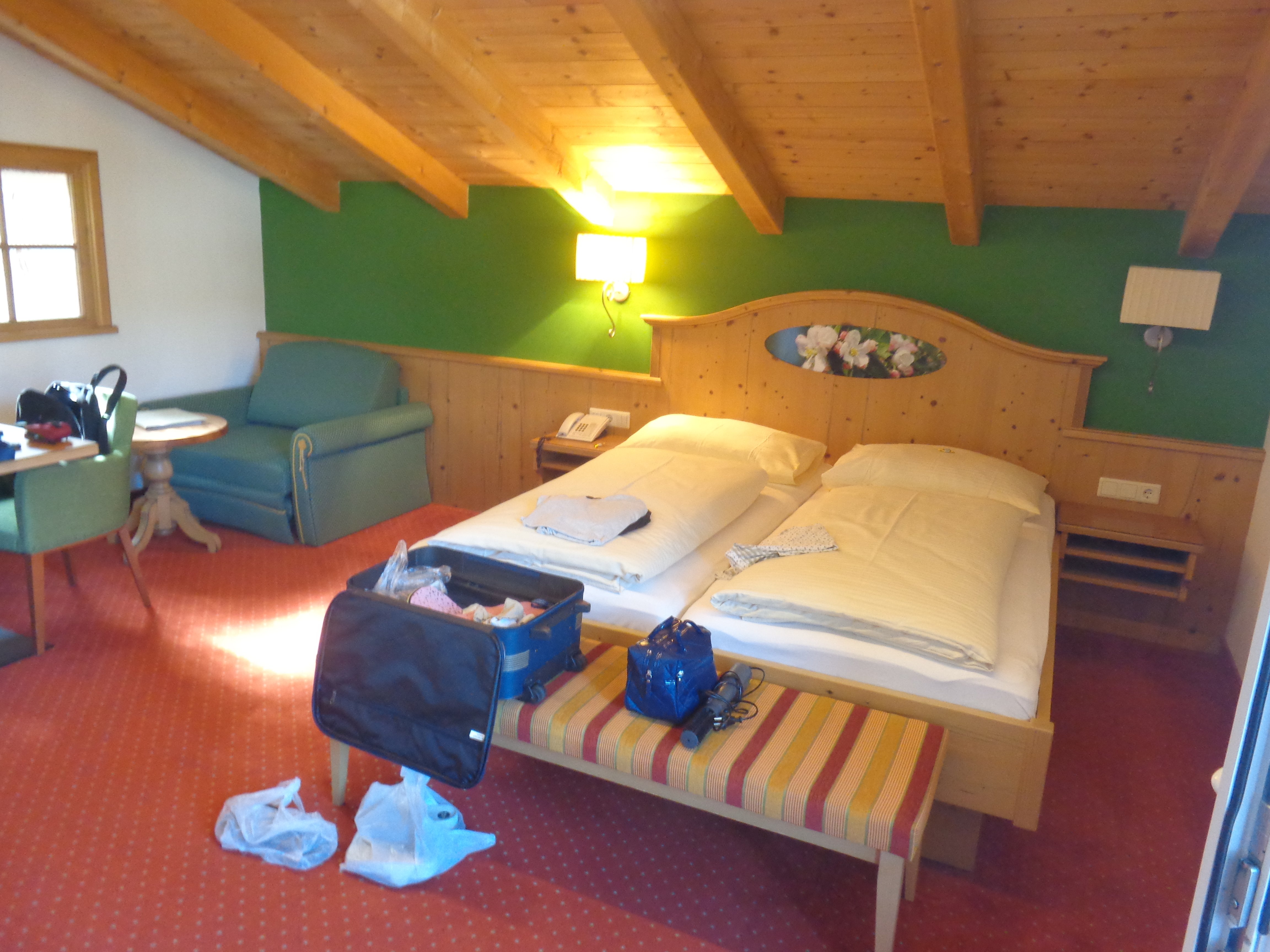 Hotel Pension Wagnermigl-酒店景观