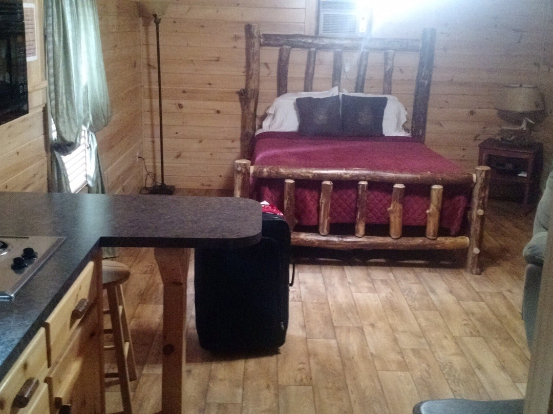 Bodnarosa Motel and Campground主图