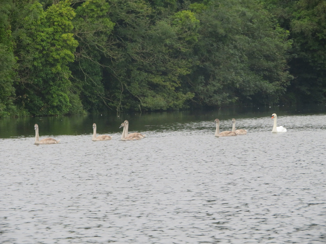 Raith Lake-Kirkcaldy必去景点