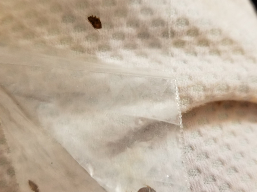 Super 8 by Wyndham Hillsville主图