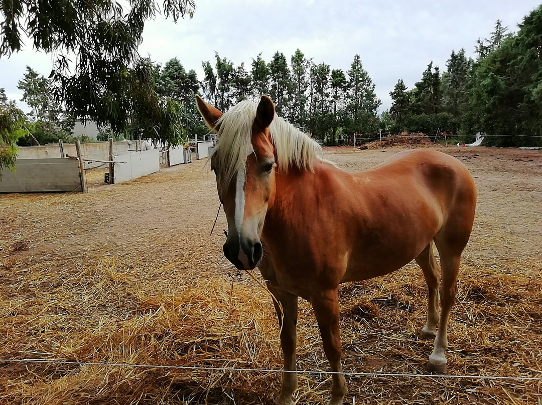 L'Oasi del Relax主图