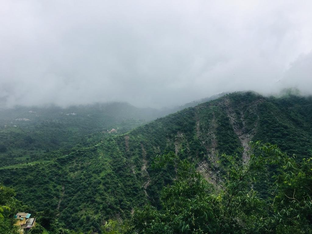 Nature Stay Kasauli-官方