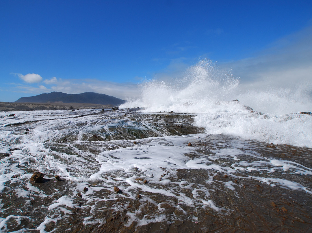 Isla Mocha-Tirua必去景点