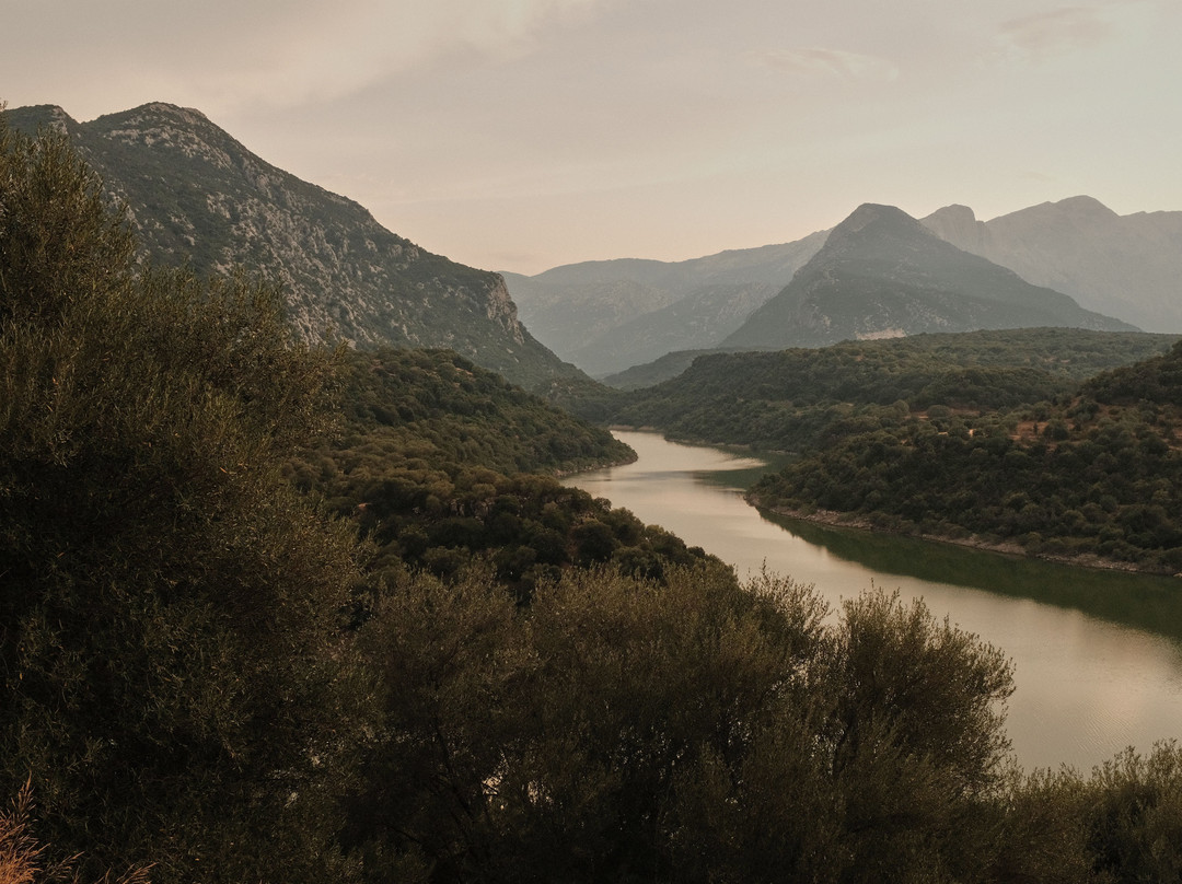 Agriturismo Guthiddai主图