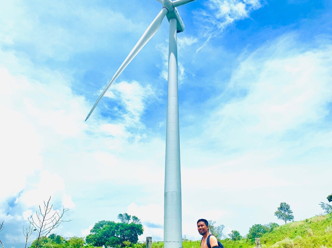 Windmill Farm景点图片