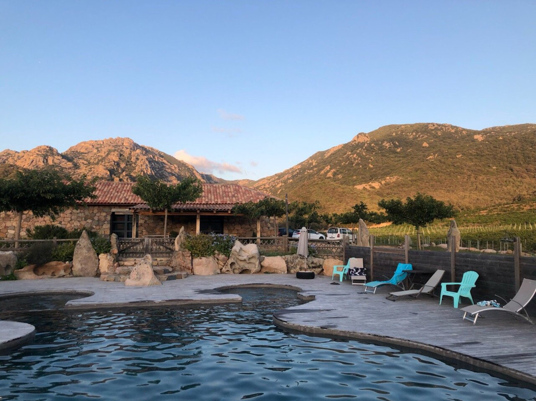 Monacia-d'Aullene酒店住宿-Chambres d'Hotes a la Maison des Vignes