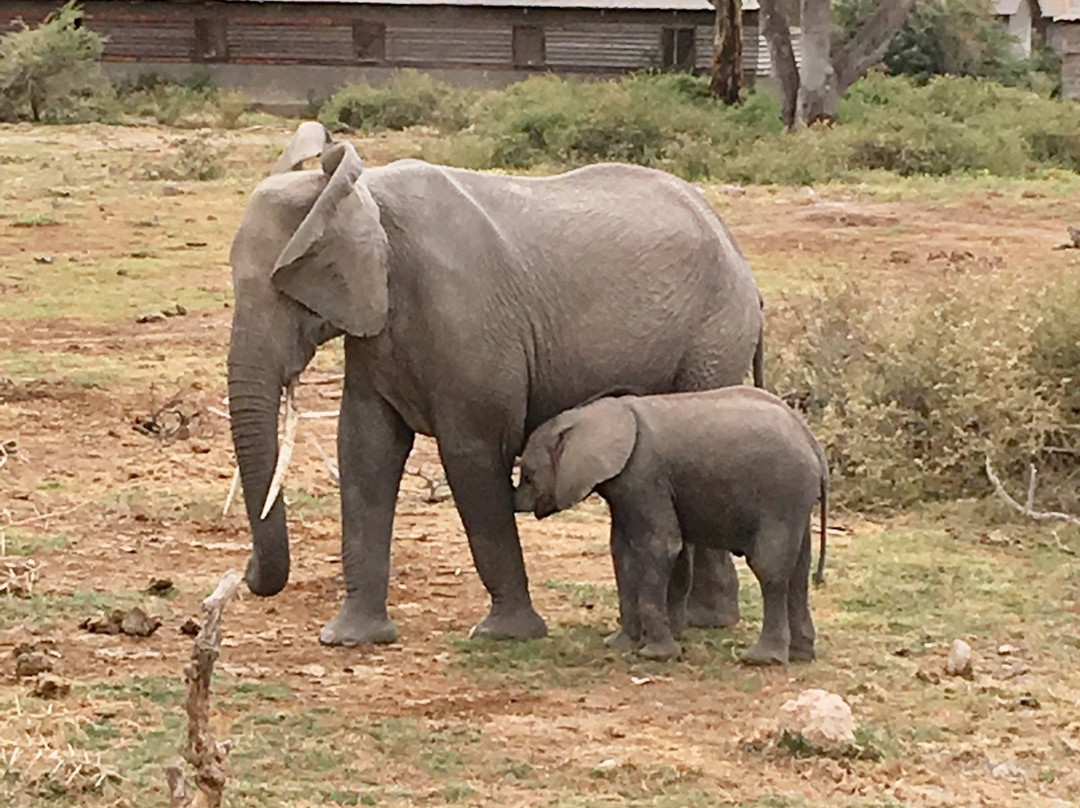 Explorer Kenya-内罗毕必去景点