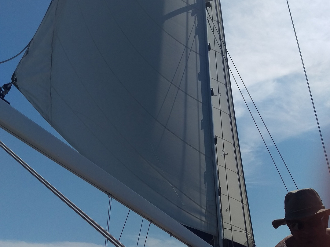 Bahia Sailing Tours景点图片