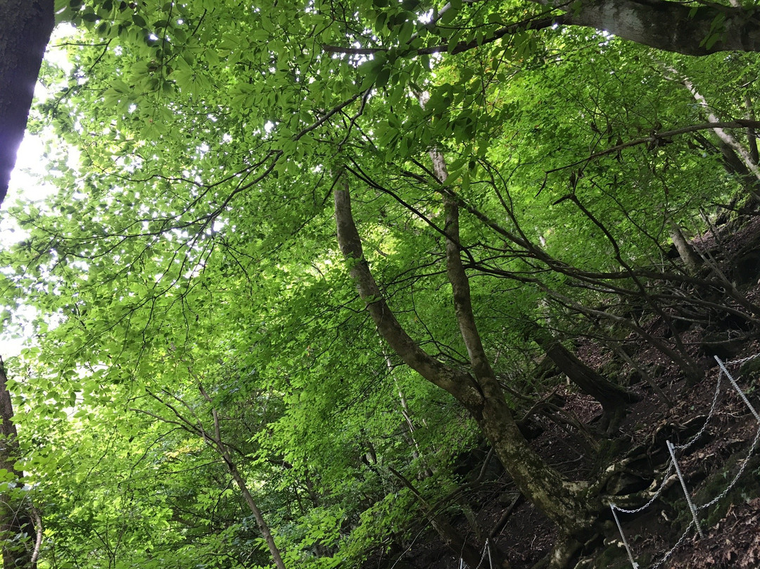 Fudo Falls-秩父市必去景点