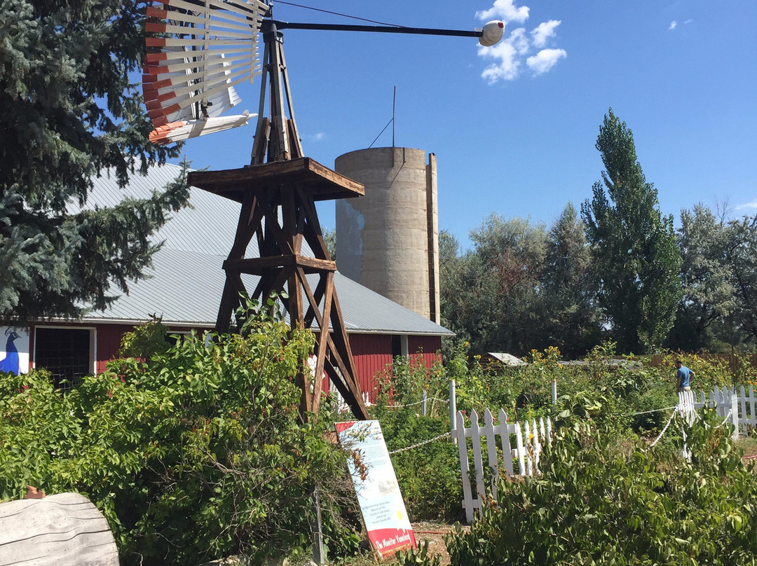 Ya Ya Farm & Orchard-朗蒙特必去景点