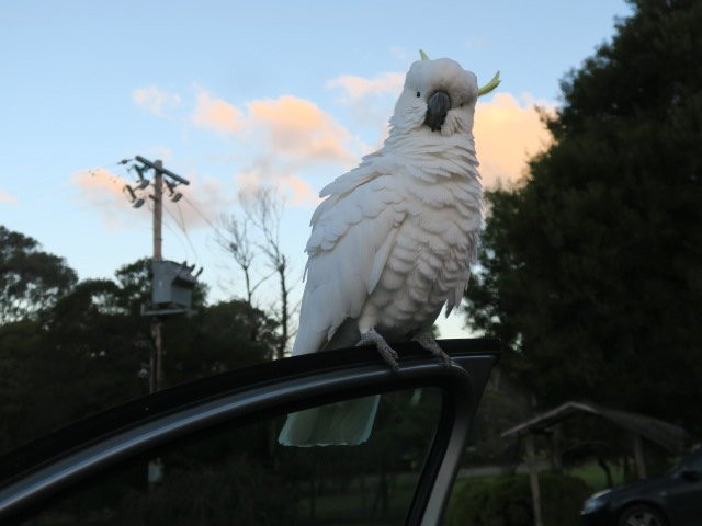 格兰坪汽车旅馆主图