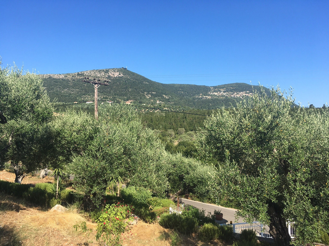 Tesoro of Ithaca主图