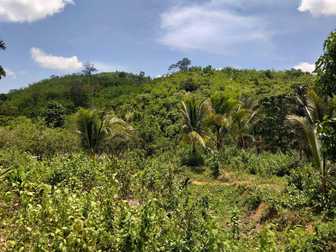 Cardamom Mountains-戈公必去景点
