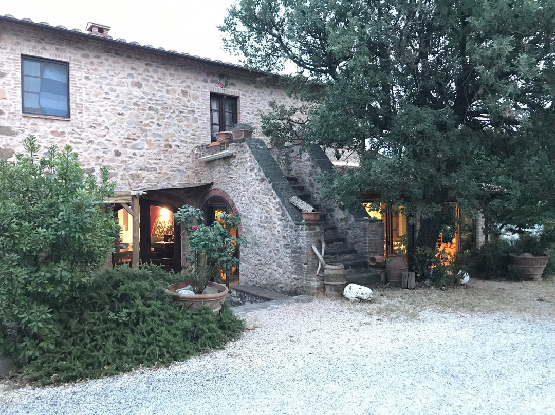 Salaiolo 176 Azienda Agricola主图