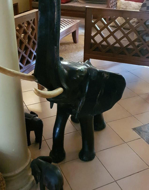 The Lodge Tellamande主图