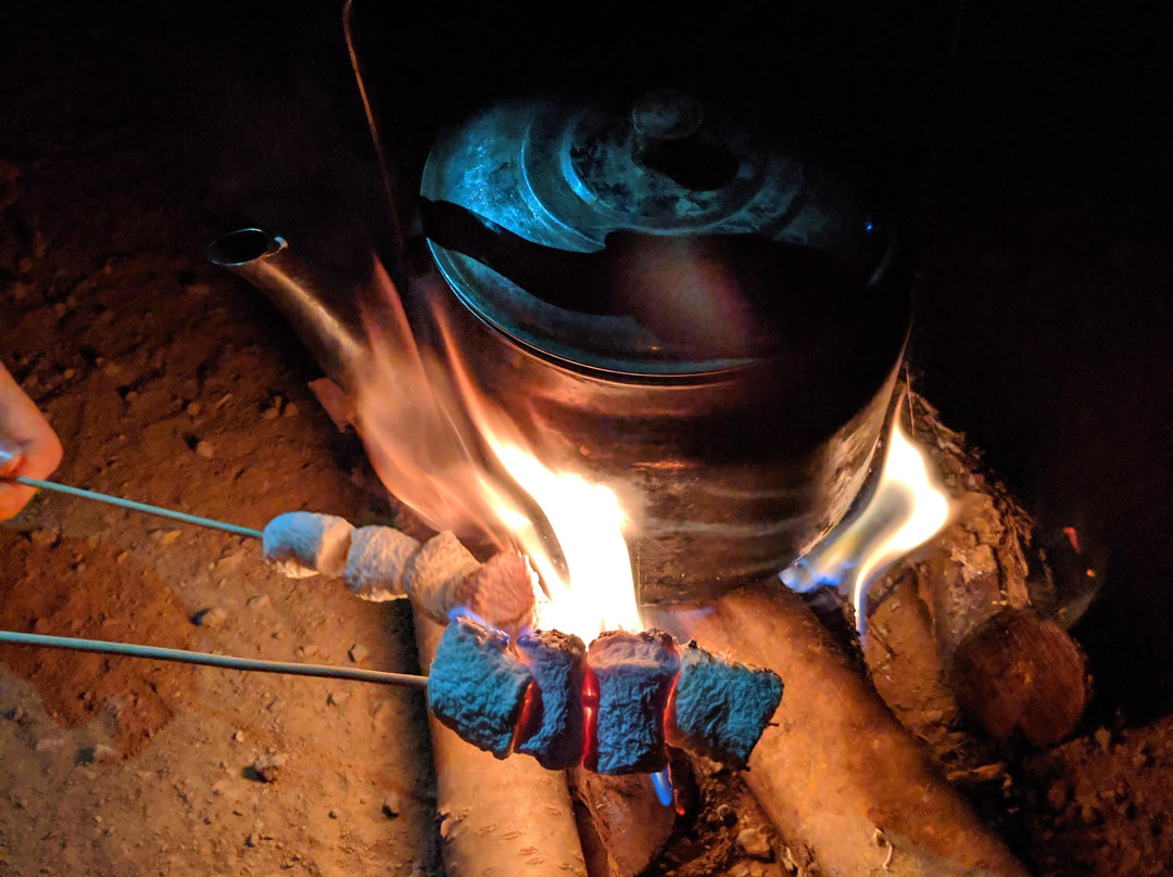 Tatanka Jeep Tours-Merom Golan必去景点