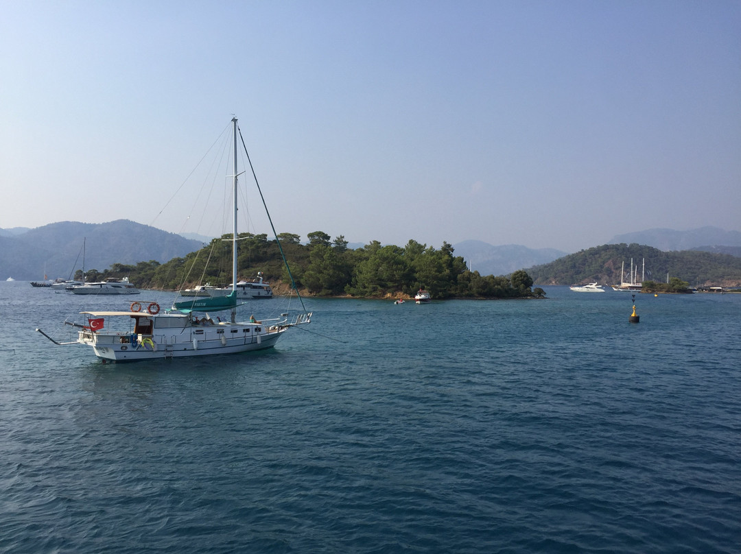 德迪米恩花园酒店主图