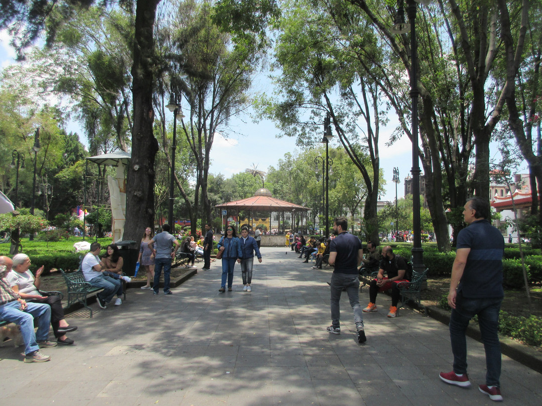 Plaza Hidalgo景点图片