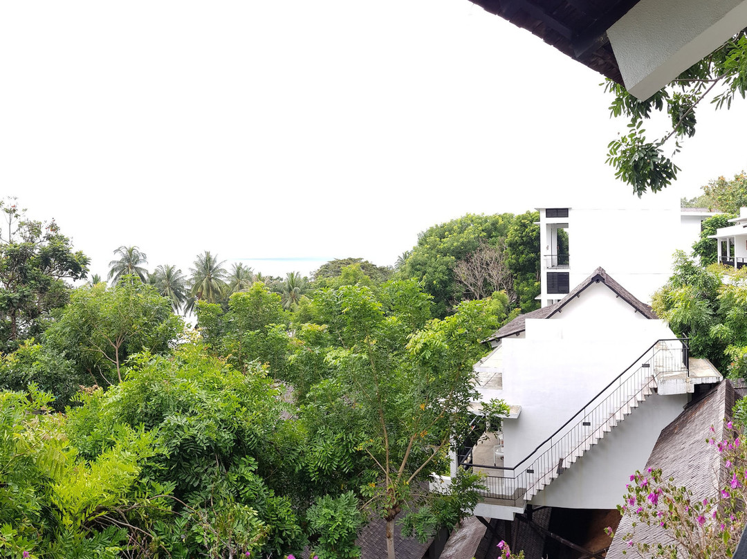 杜丽海滩度假村主图