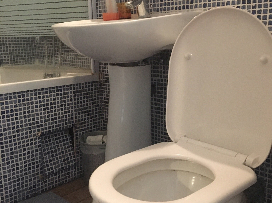 Chateau des Grandes Vignes主图