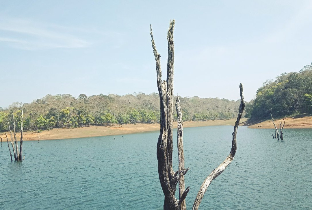 Yogi Tours and Travels-瓦卡拉必去景点