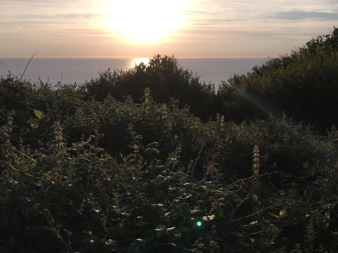 Cap de la Heve-勒阿弗尔必去景点
