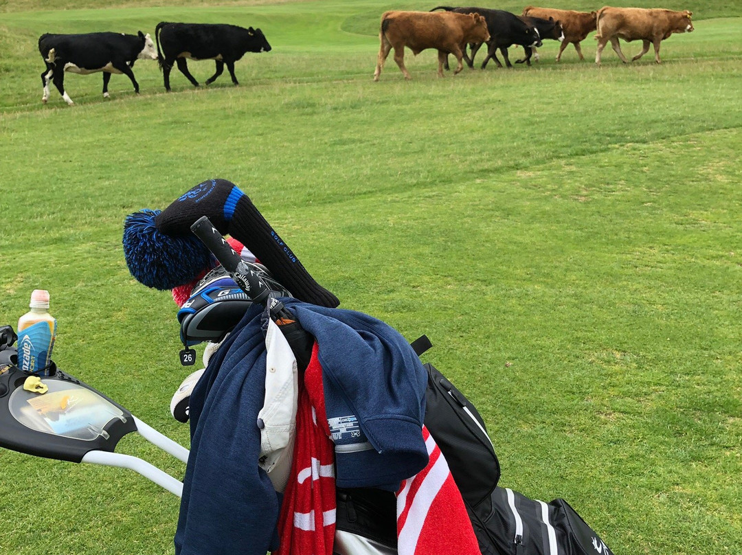 Brora Golf Course-Brora必去景点
