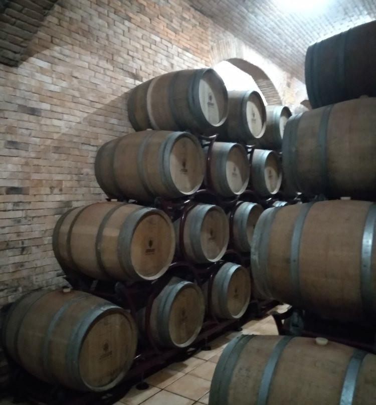 Vitivinicola Antichi Poderi Jerzu-Jerzu必去景点