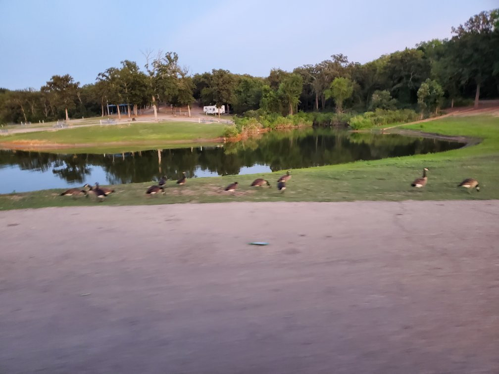 Lake Texoma State Park-Kingston必去景点