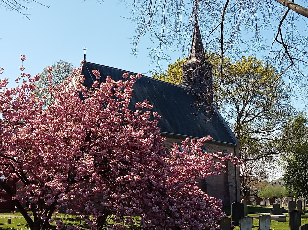 Pietermankerk景点图片