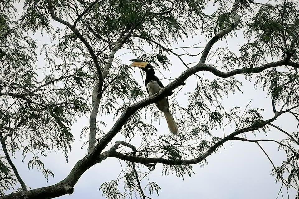 Arugambay Green Tours-阿鲁甘湾必去景点