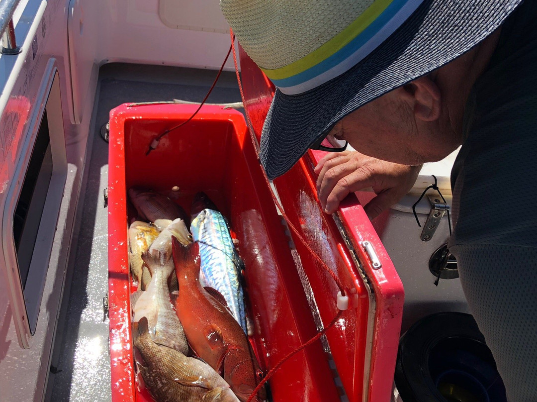 Escape 2 Island & Reef Charters-Bloomfield必去景点