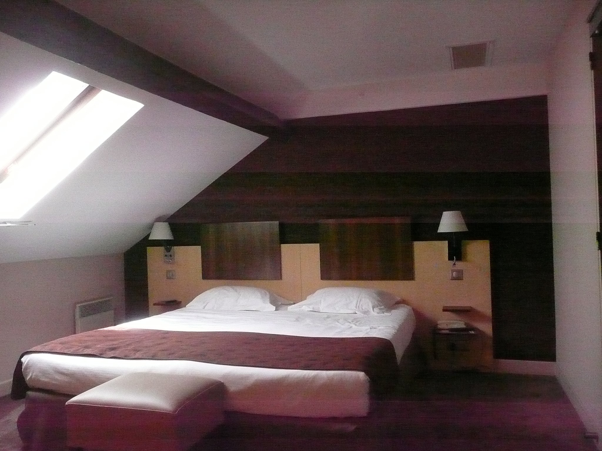 Hôtel Arverna Citotel Vichy-酒店景观