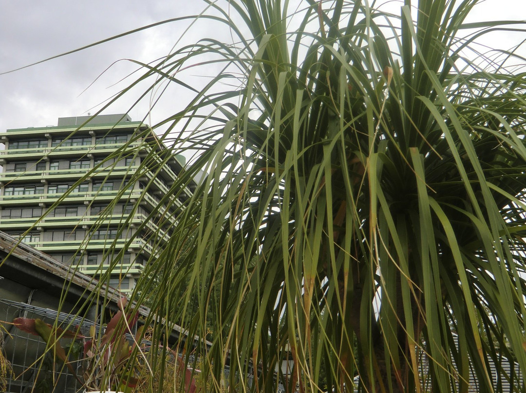 Botanischer Garten景点图片