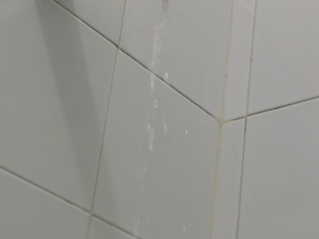 Hotel Santa Chiara主图