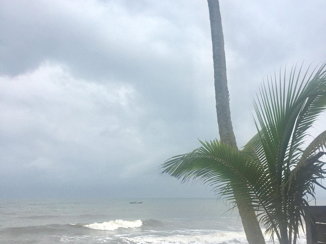 Hotel du Phare主图