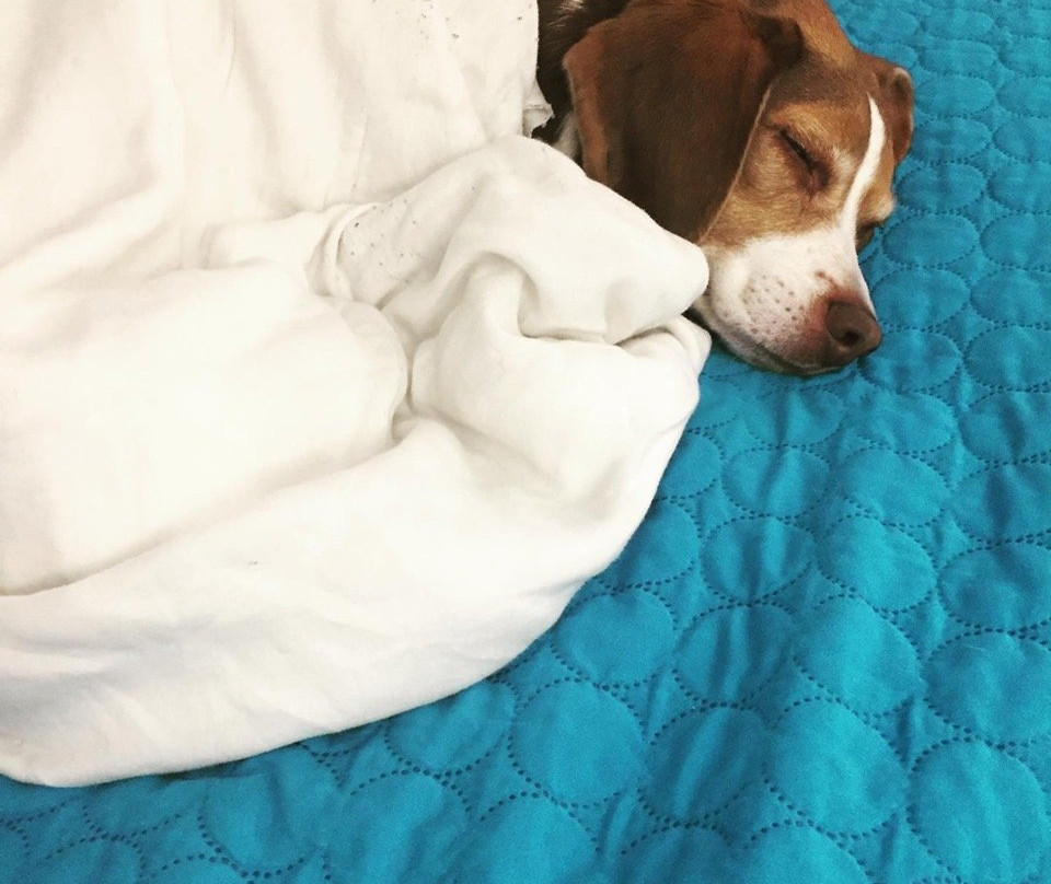 Atlantic Oceanside Dewey主图