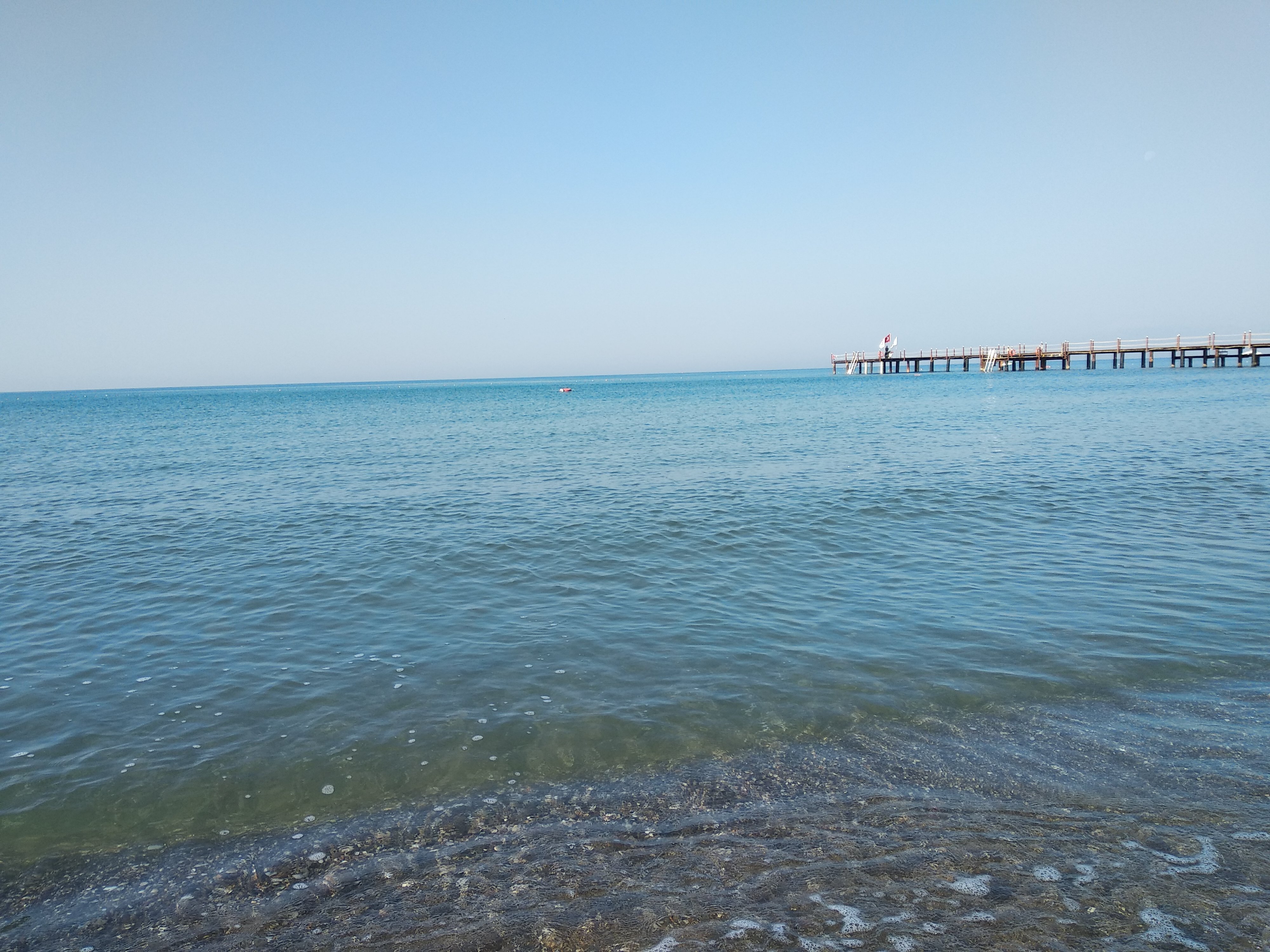 Altis Resort Hotel-泳池
