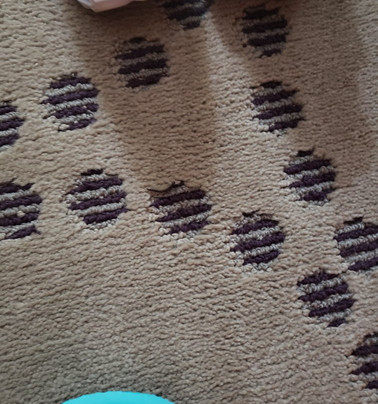 Quality Inn Stockbridge Atlanta South主图