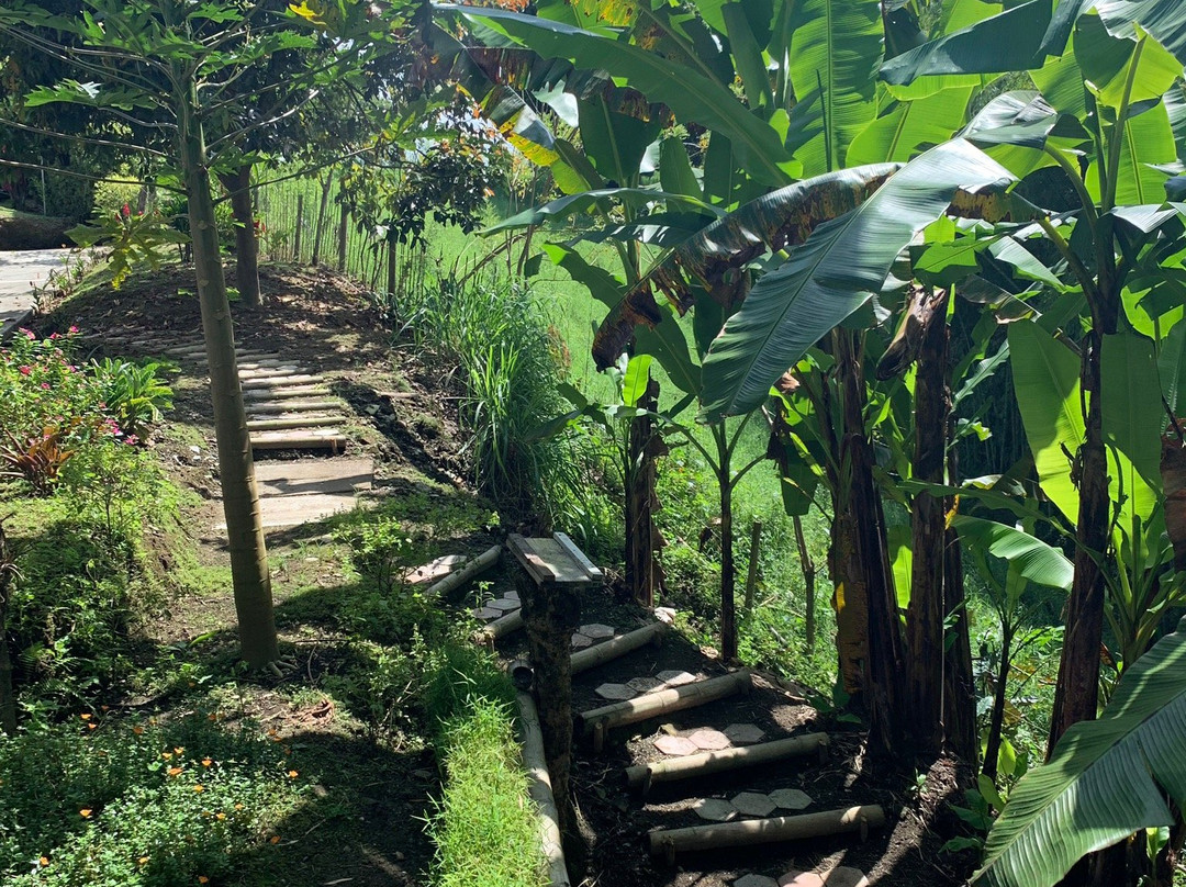 Balsora Hotel Boutique主图