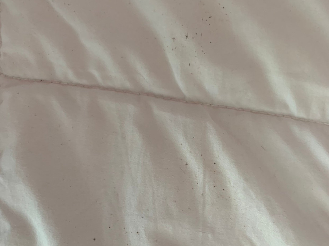 Hotel Playa Vista Mar主图