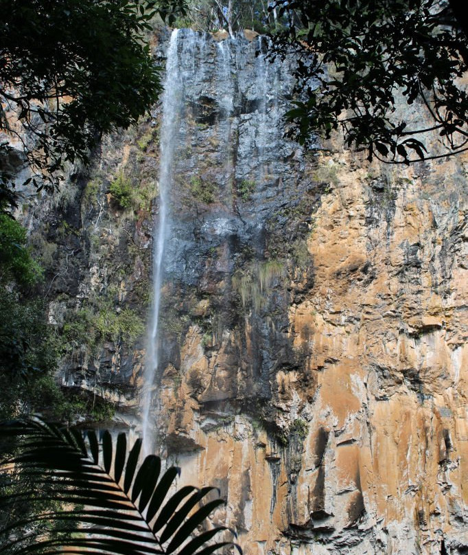 Purling Brook Falls景点图片