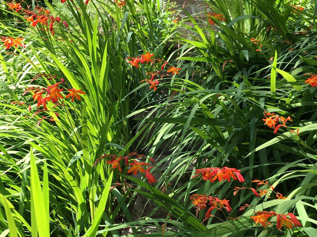 Thorn House & Garden-Wembury必去景点